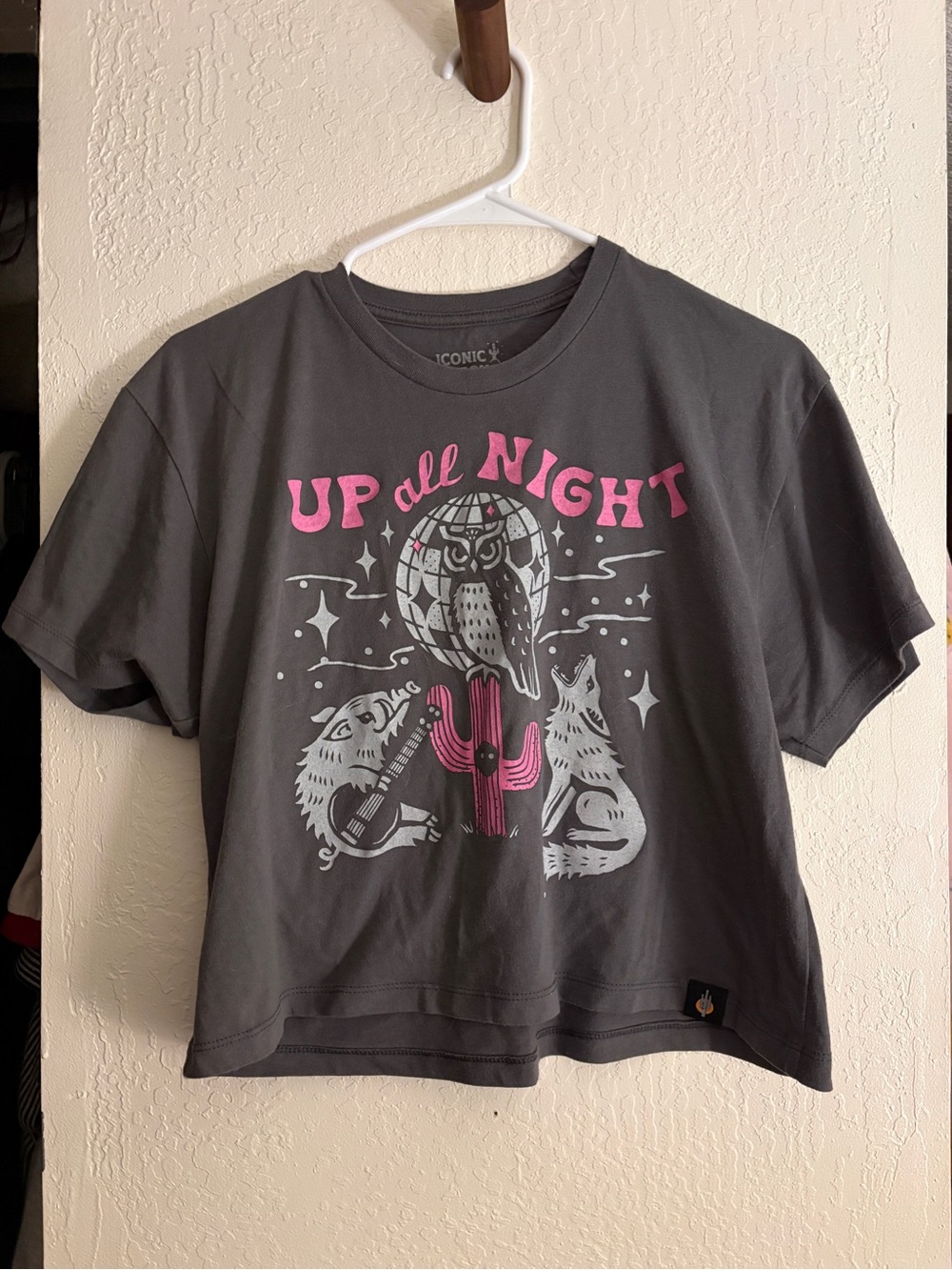 Iconic Arizona Up All Night Graphic Tee in Charcoal with Pink Accent